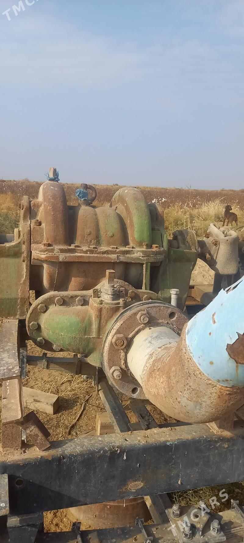 Cuw nasos - Kaka - img 2