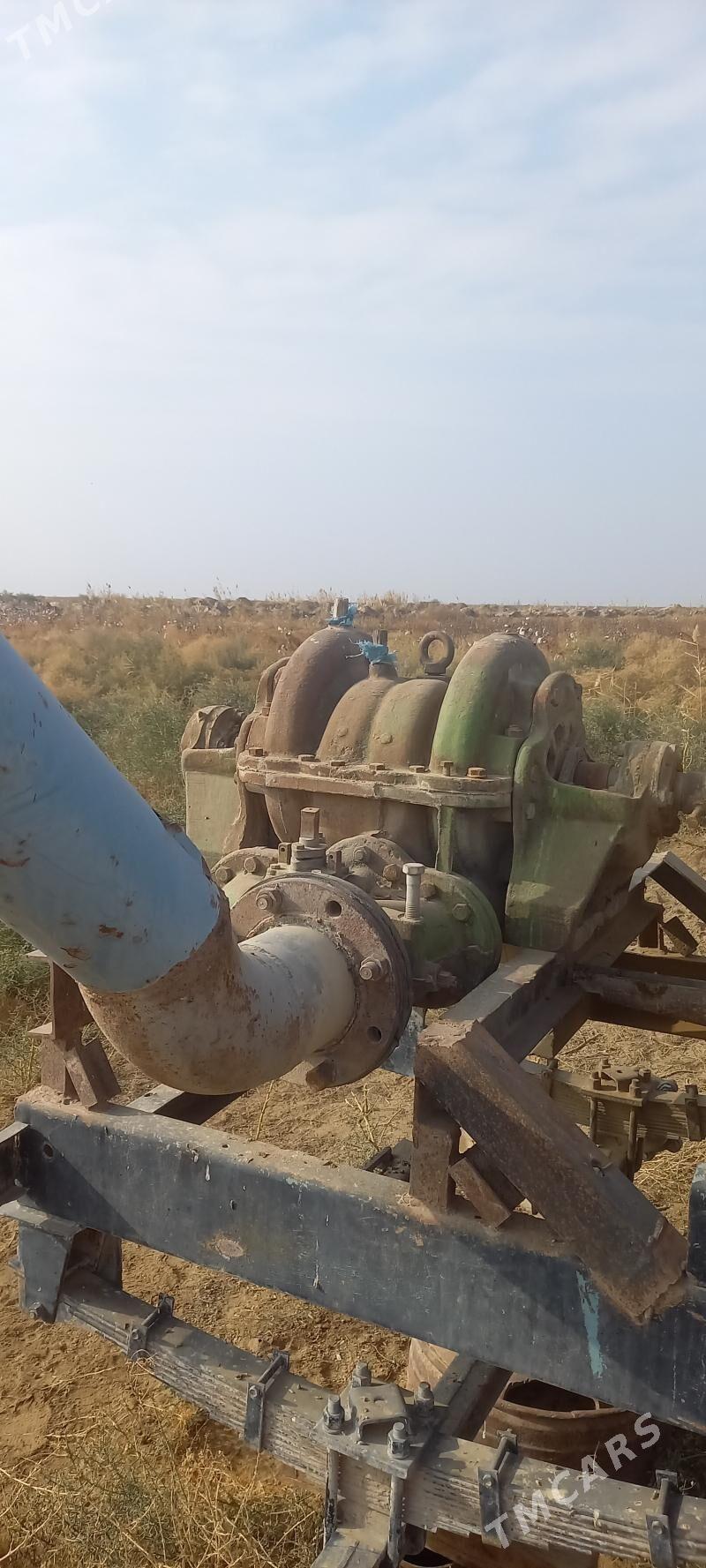 Cuw nasos - Kaka - img 3