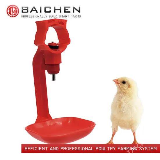 Towuk juyje üçin suwluk - Бабадайхан - img 4