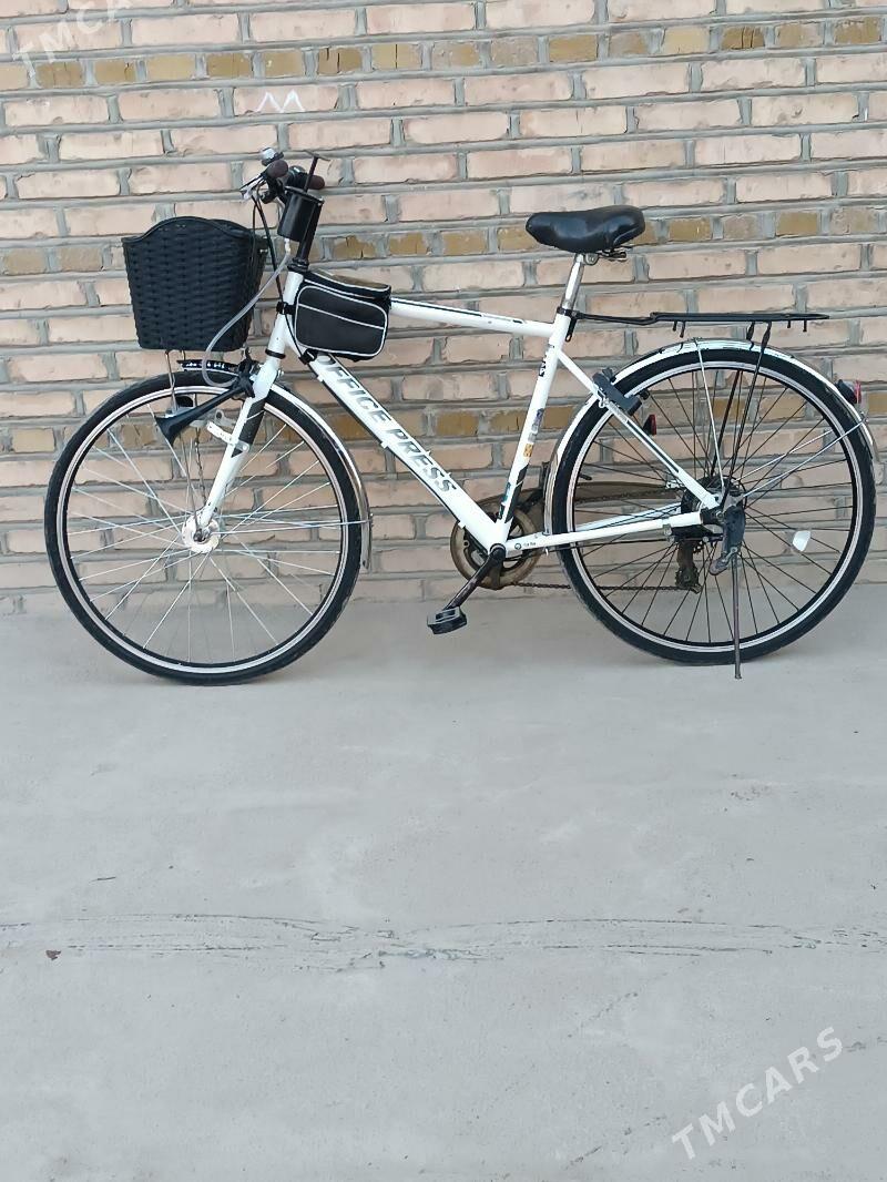 28 Welik - Мары - img 3