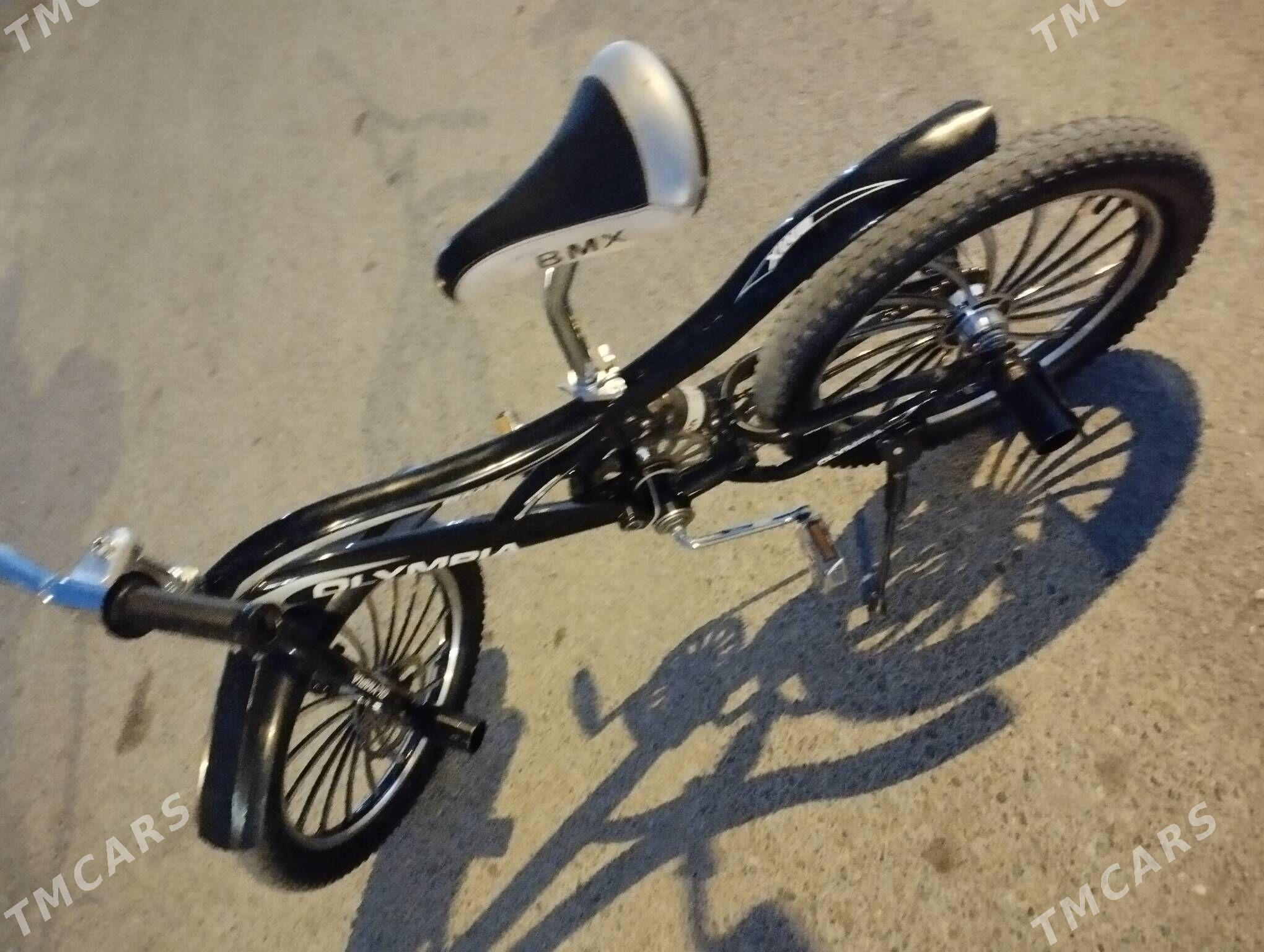 Olimpia - Чоганлы - img 2