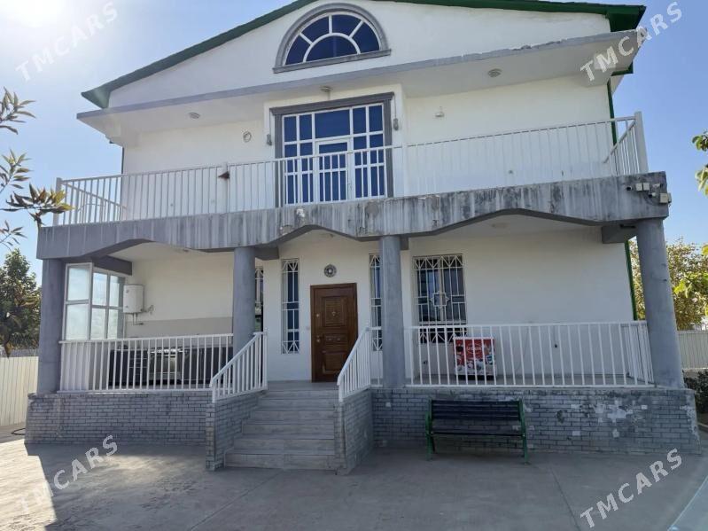 Taze zaman ️тазе заман - Тязе заман - img 10