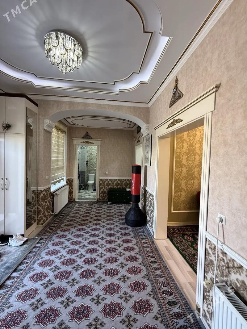 Taze zaman ️тазе заман - Тязе заман - img 3