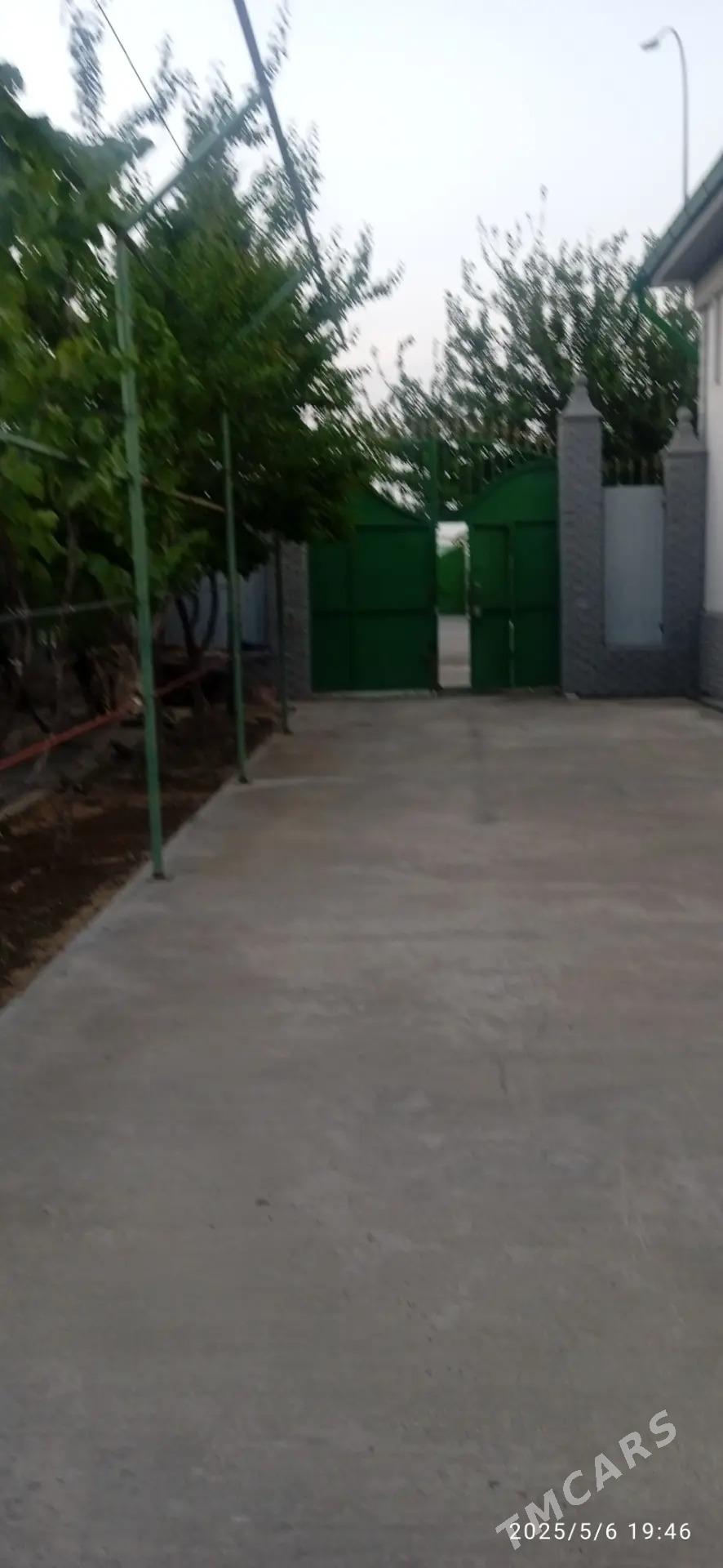 Taze Zaman ️тазе заман - Täze zaman - img 10