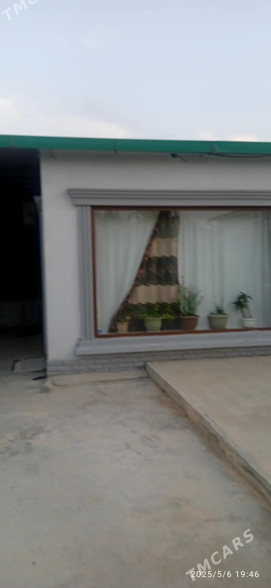 Taze Zaman ️тазе заман - Täze zaman - img 2