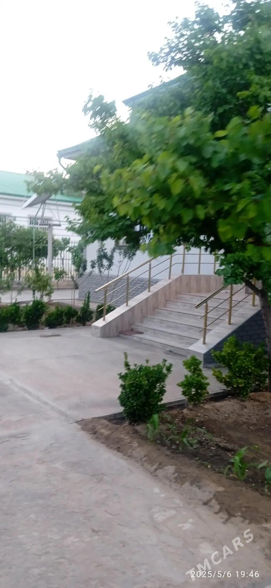 Taze Zaman ️тазе заман - Täze zaman - img 3