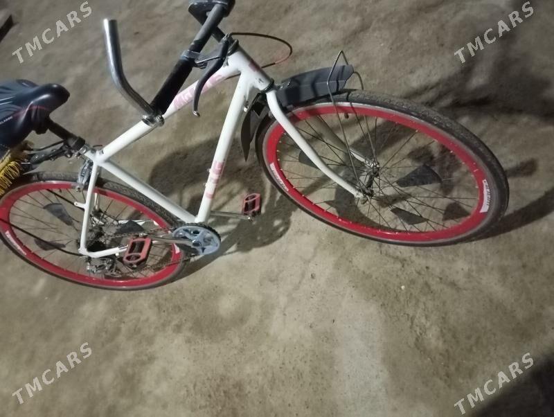 tigir - Теджен - img 2