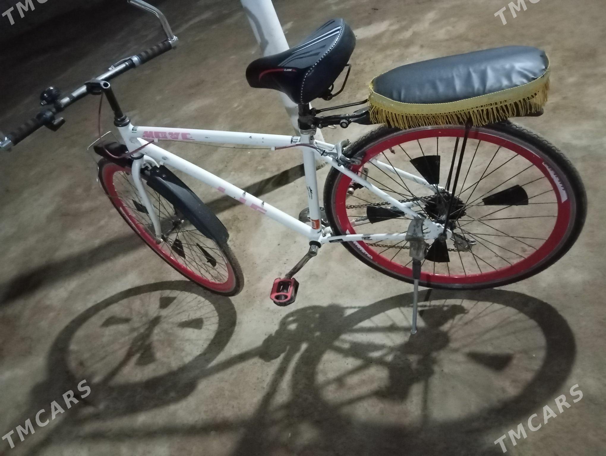 tigir - Теджен - img 3