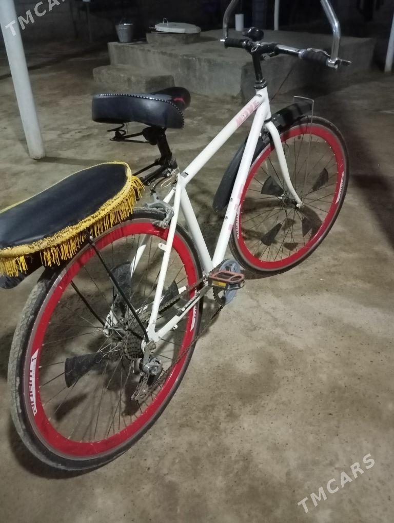 tigir - Теджен - img 4