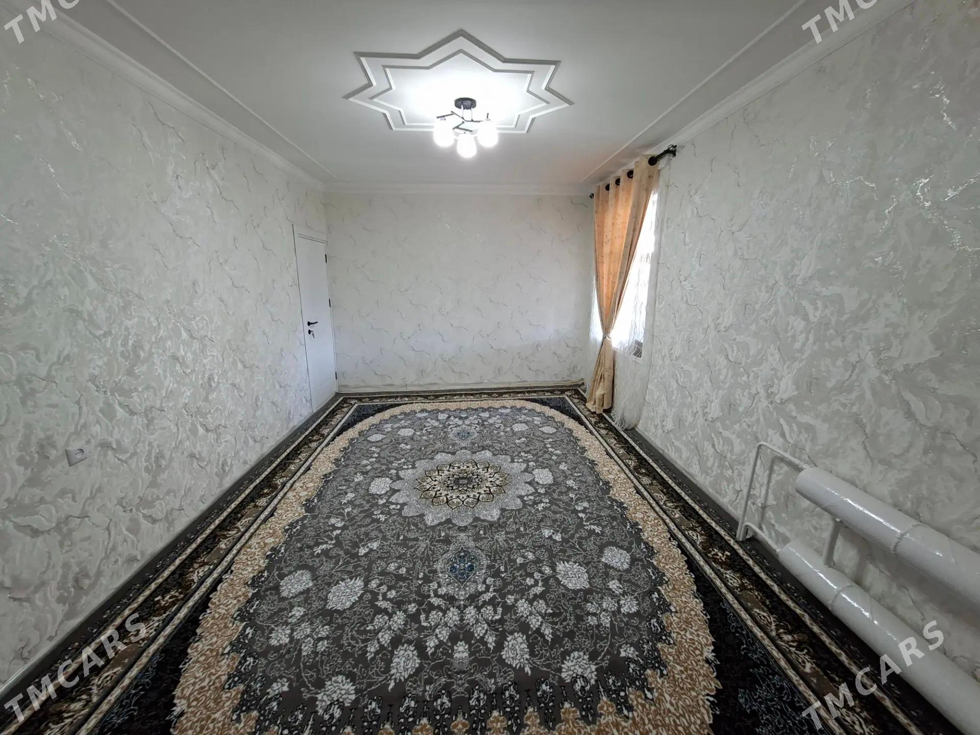 Satlyk jay - Mary - img 7