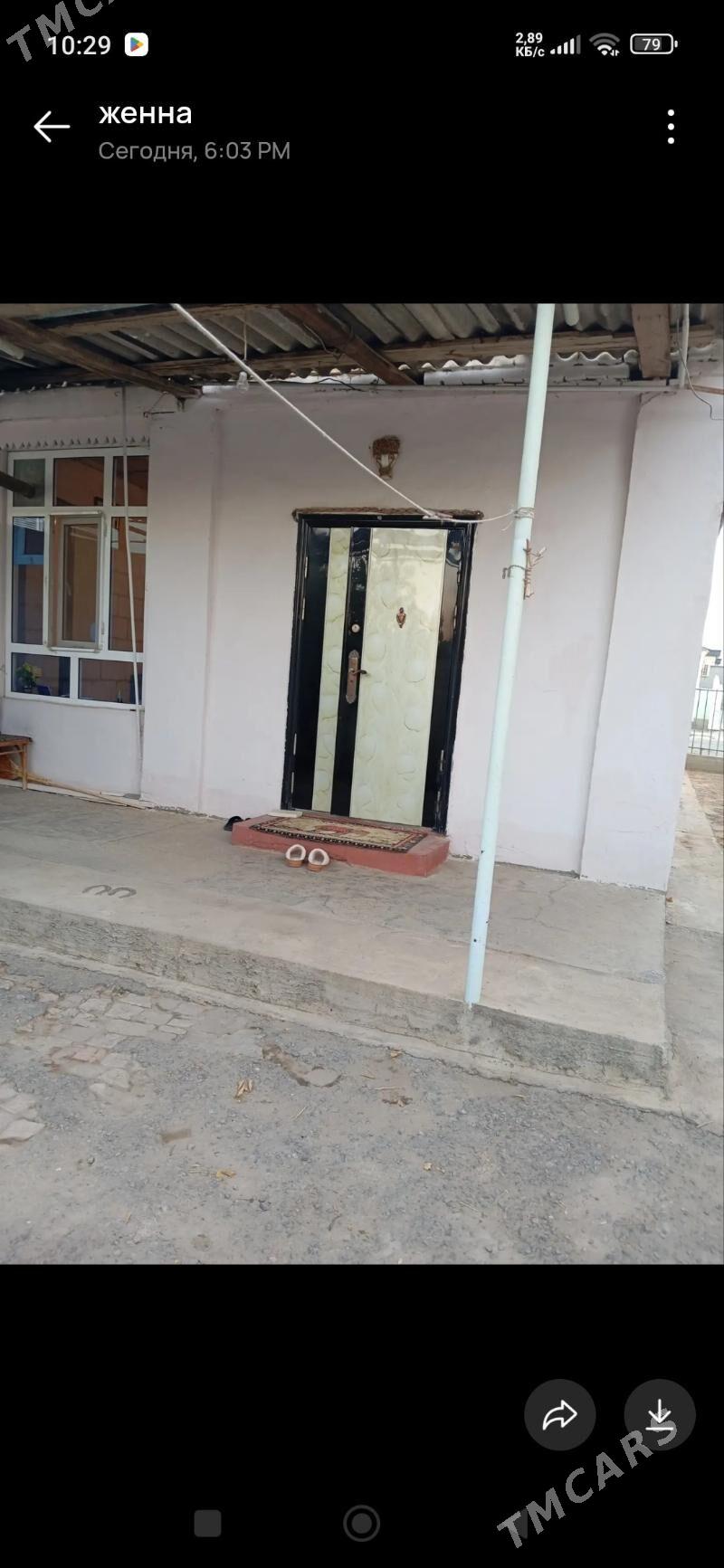 Gãmi - Ak bugdaý etraby - img 5