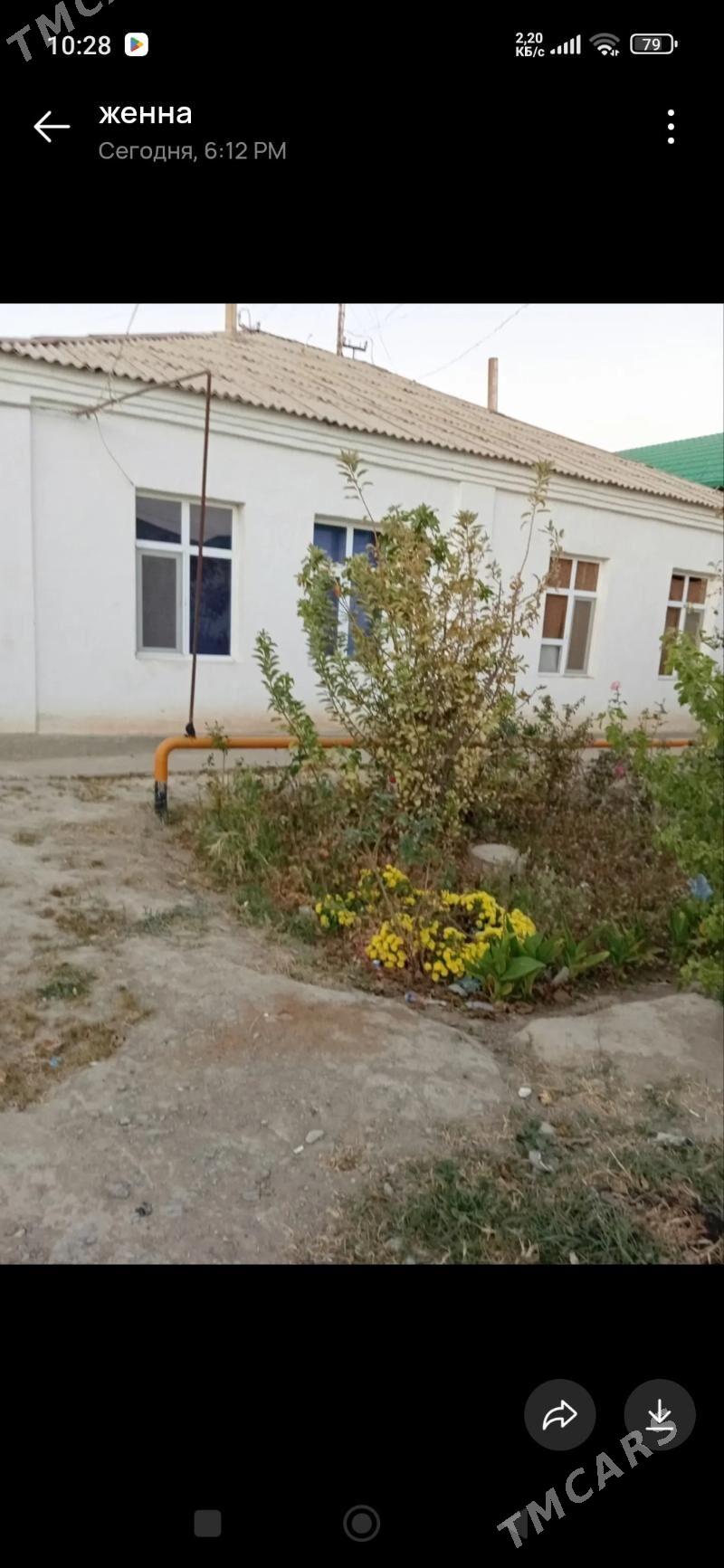 Gãmi - Ak bugdaý etraby - img 4