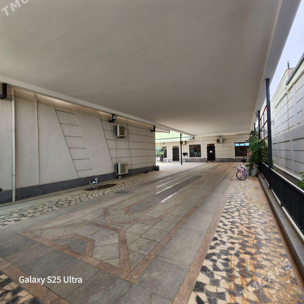 kotej jay - Ак-Бугдайский этрап - img 3