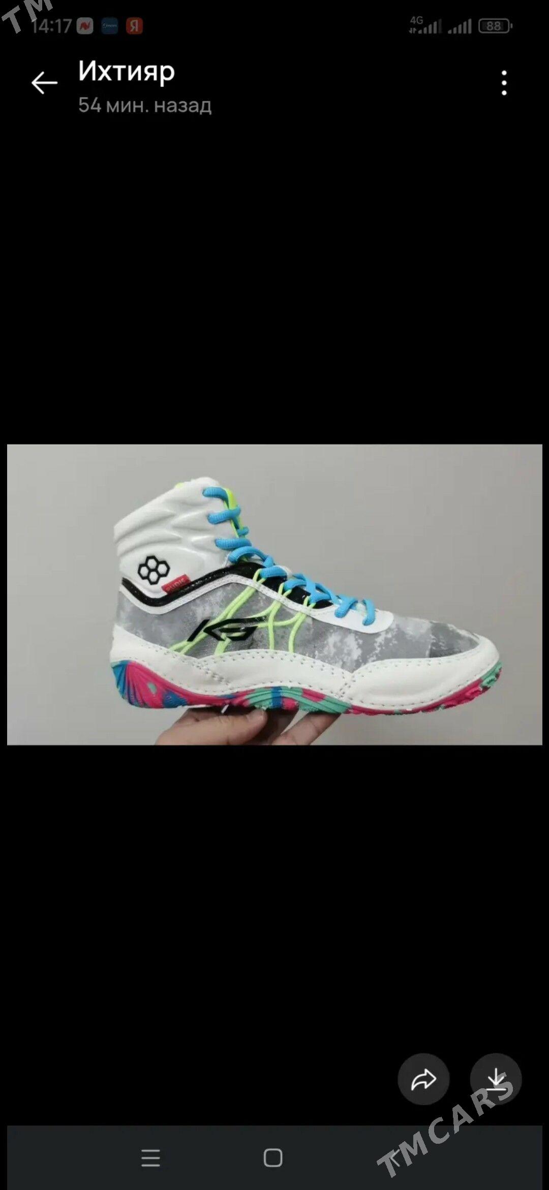 Barsofka - Aşgabat - img 3