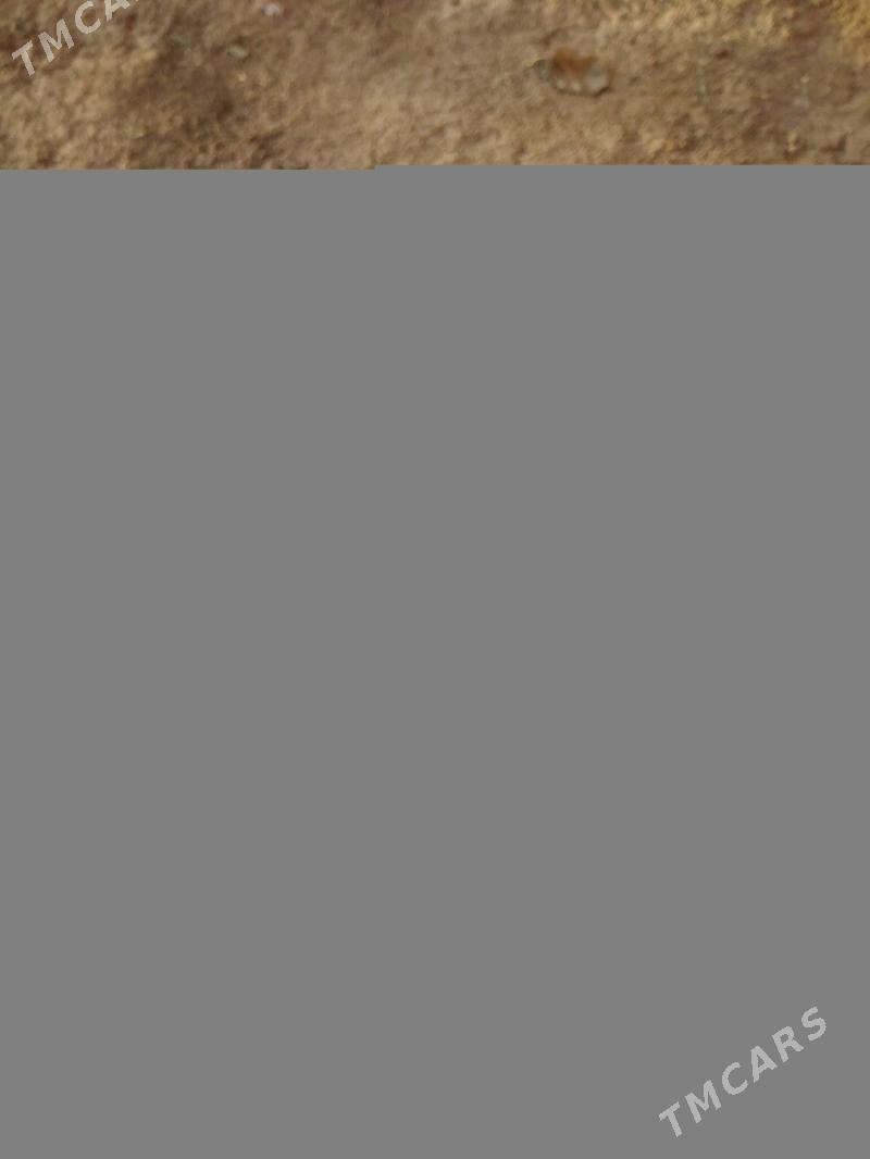 Huawei p30 pro - Туркменабат - img 2