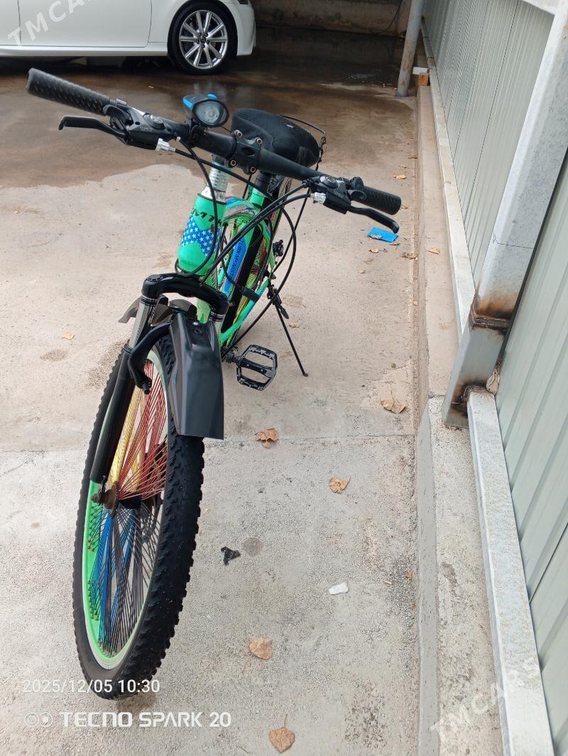 tigir - Арзув - img 2