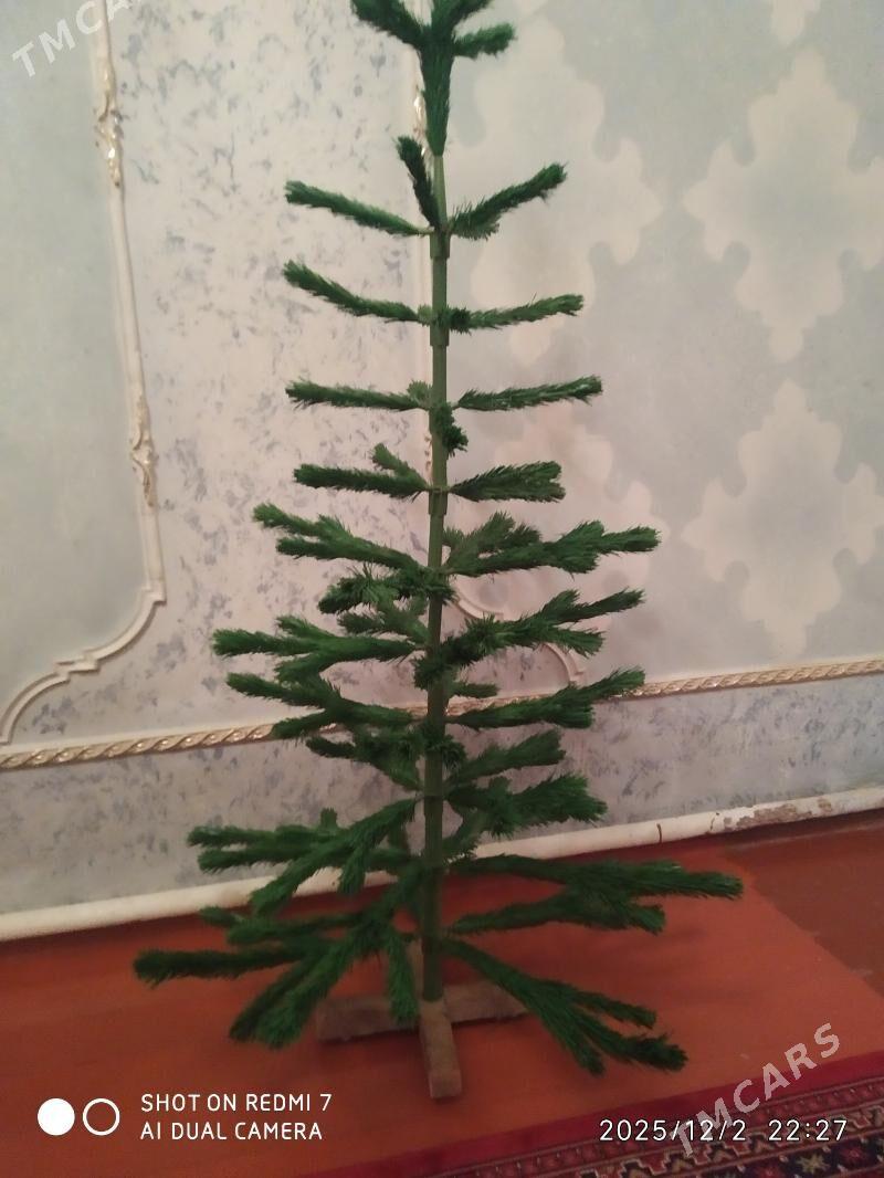 ÿolka arca - Aşgabat - img 2