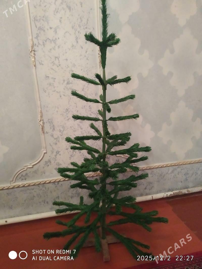 ÿolka arca - Aşgabat - img 1