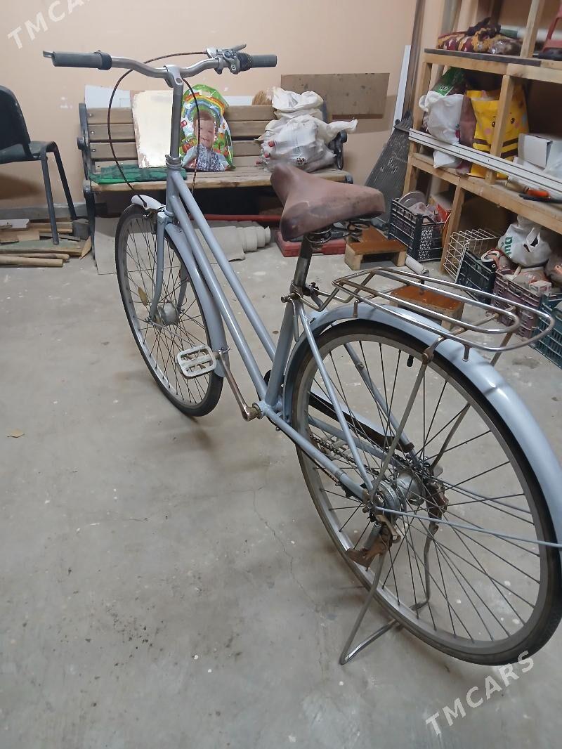 tigir - Анев - img 2