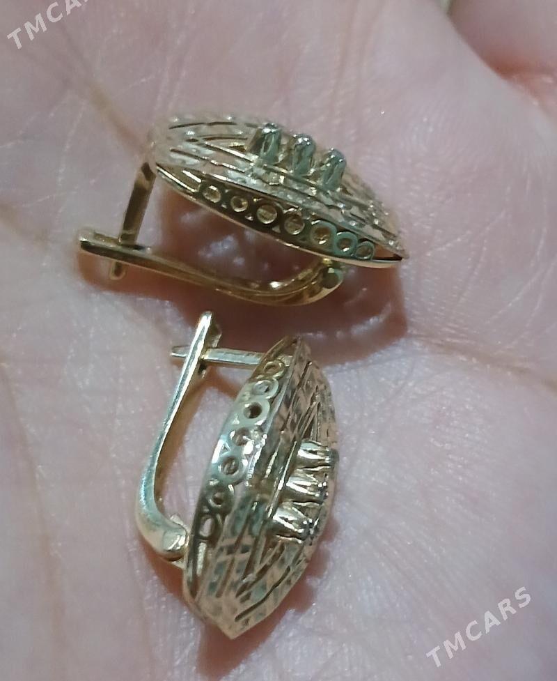 Gyzyl gulakhalka briliyant - Ашхабад - img 2