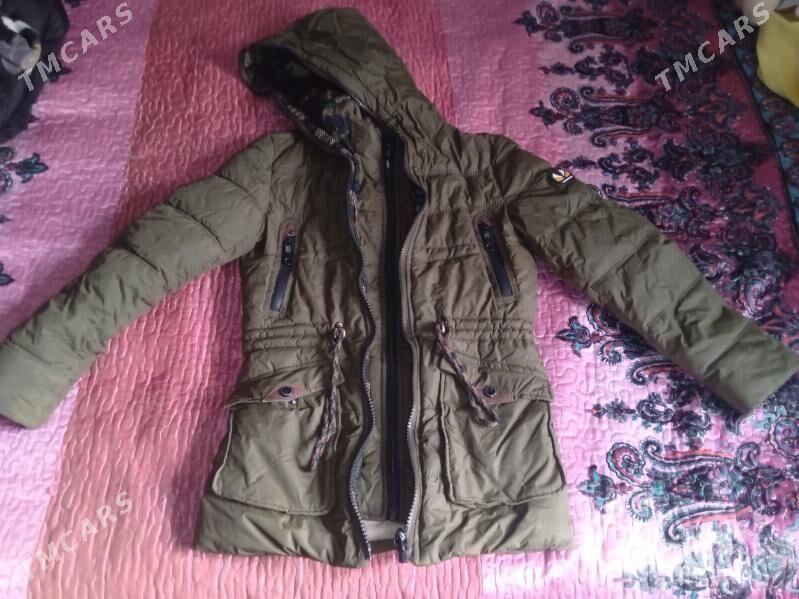 kurtkalar - Daşoguz - img 2