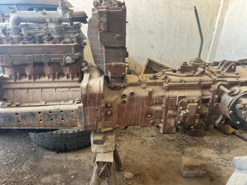 Mtz 55 000 TMT - Kaka - img 2