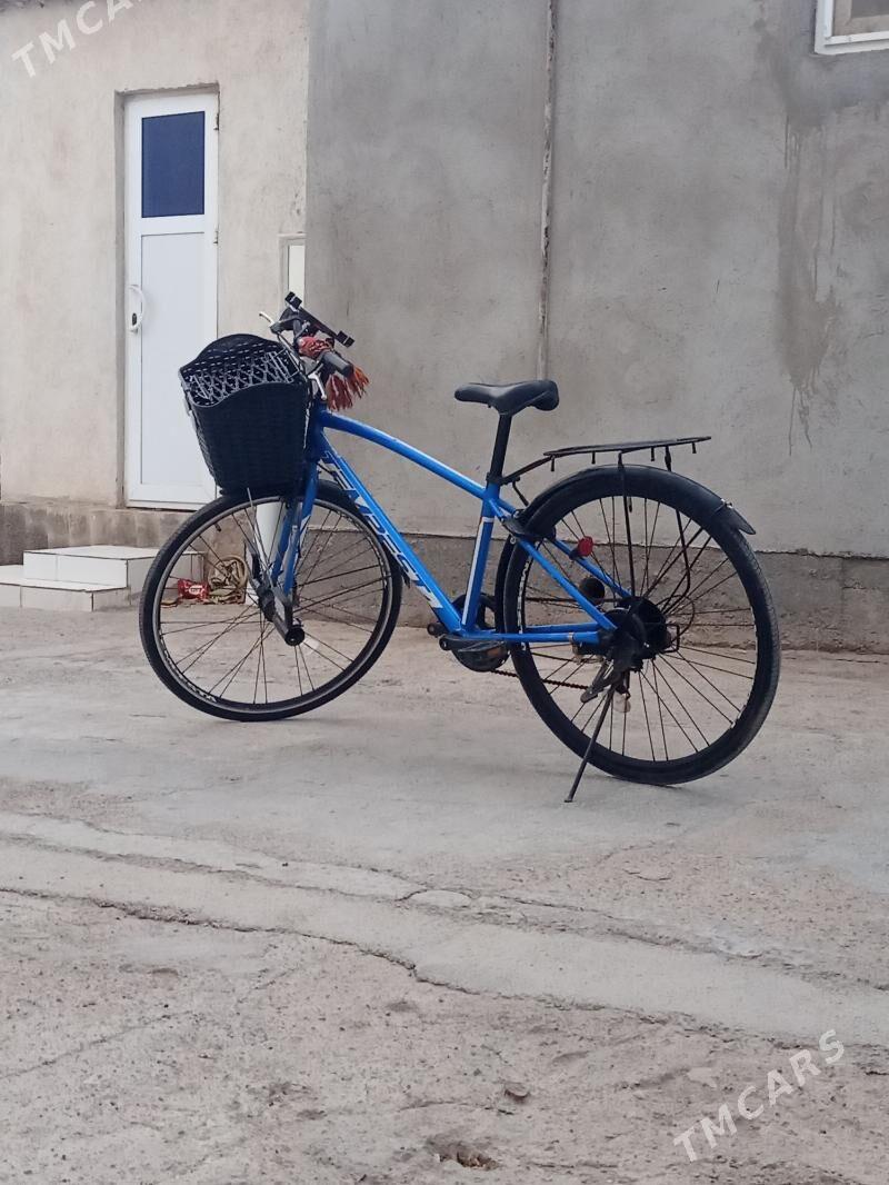 Ýapon - Теджен - img 10