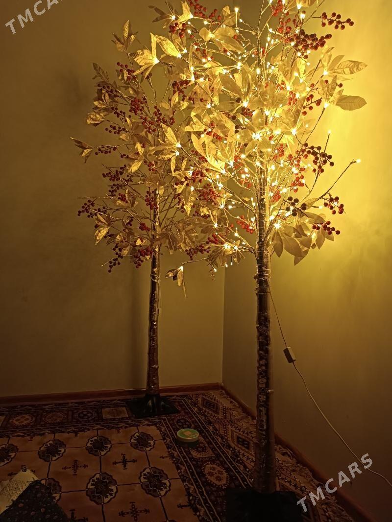 bezeg bagg - Aşgabat - img 3