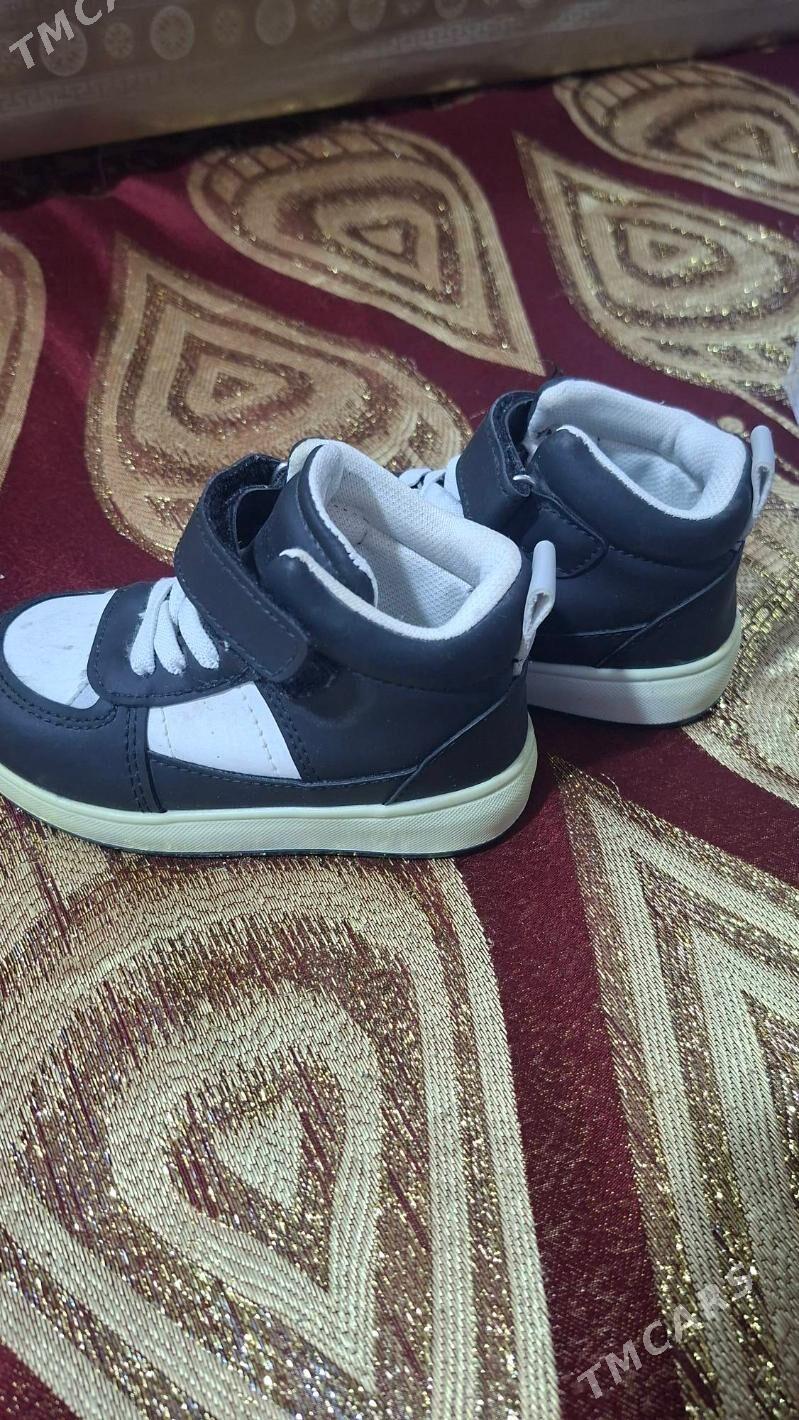 çaga adikleri - Türkmenabat - img 4