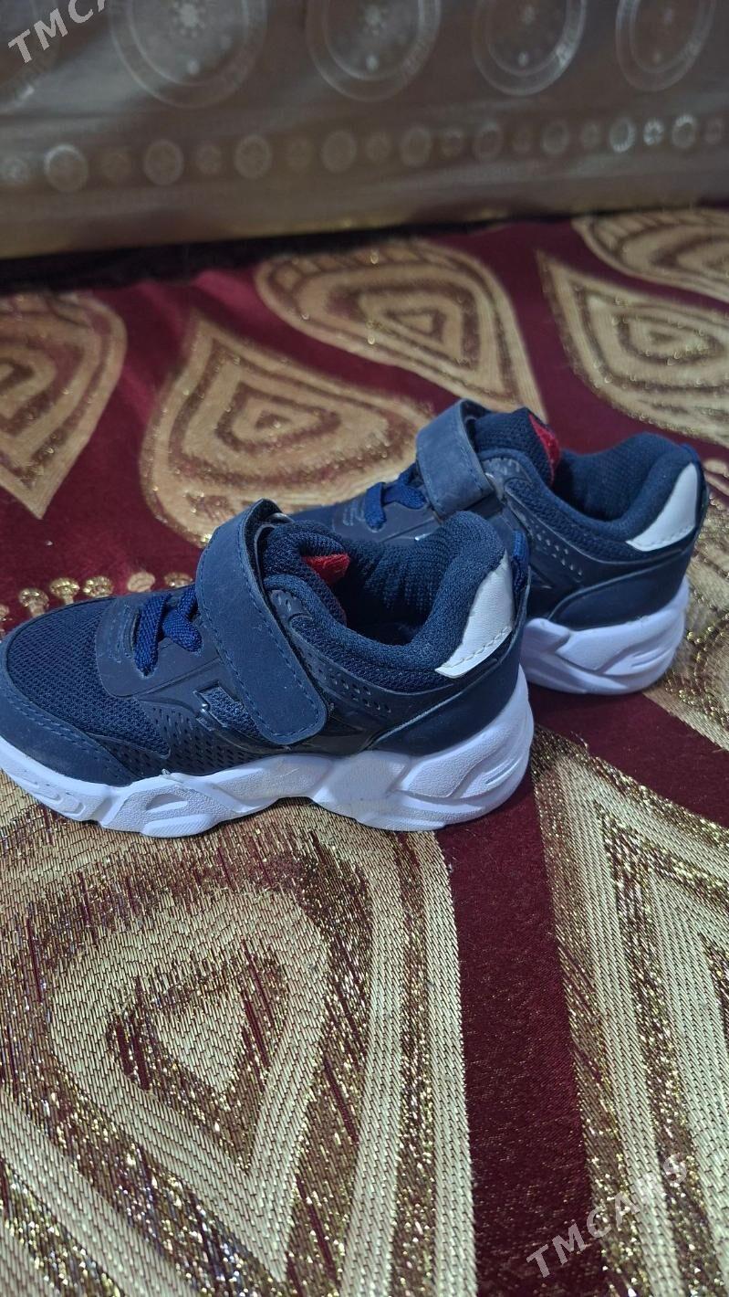 çaga adikleri - Türkmenabat - img 3