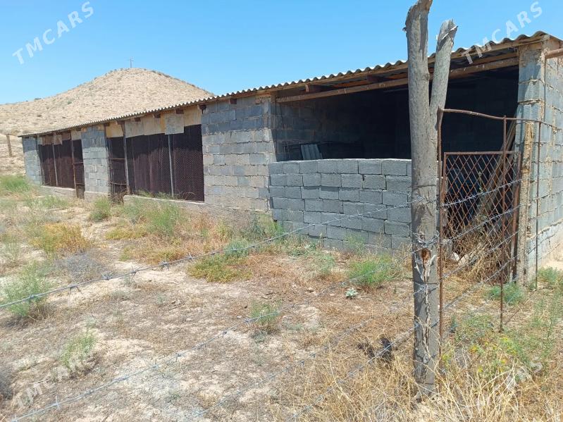 Yer jay - Махтумкули - img 6