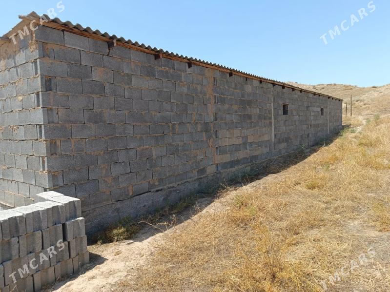 Yer jay - Махтумкули - img 4