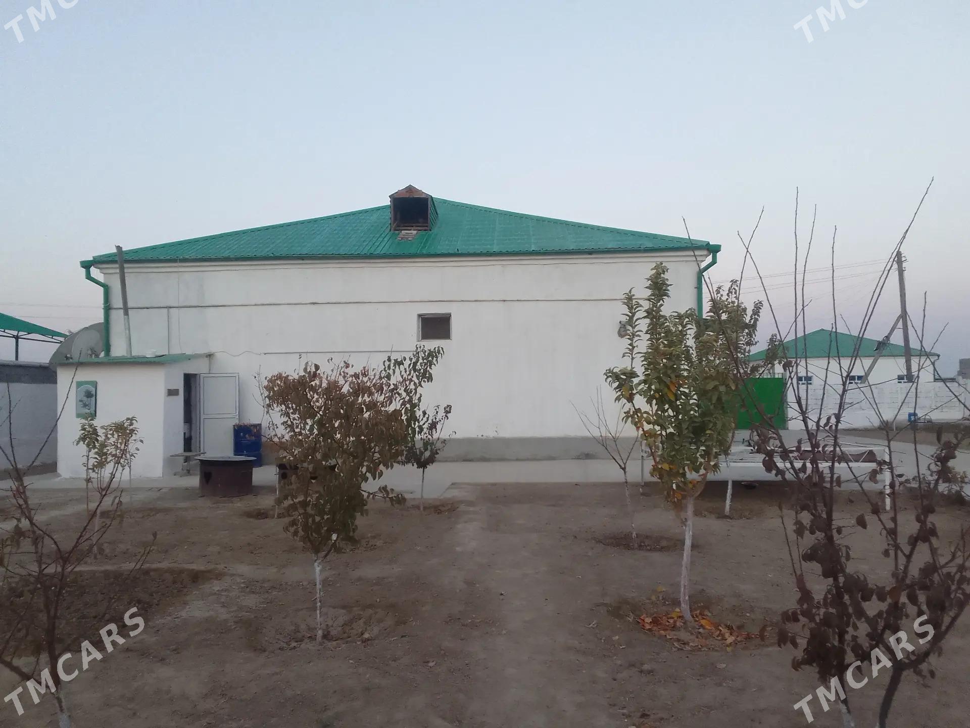 Taze Eýam - Ашхабад - img 2