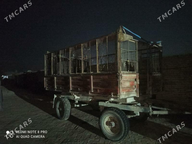 MTZ 82 2000 - 10 000 TMT - Mary - img 2