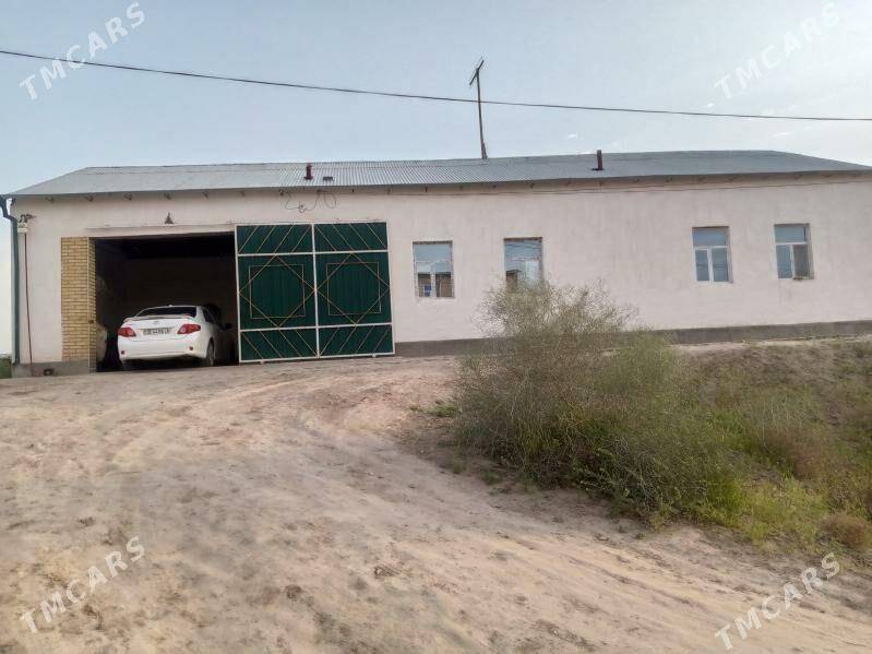 şatlyk plan jaý - Халач - img 1