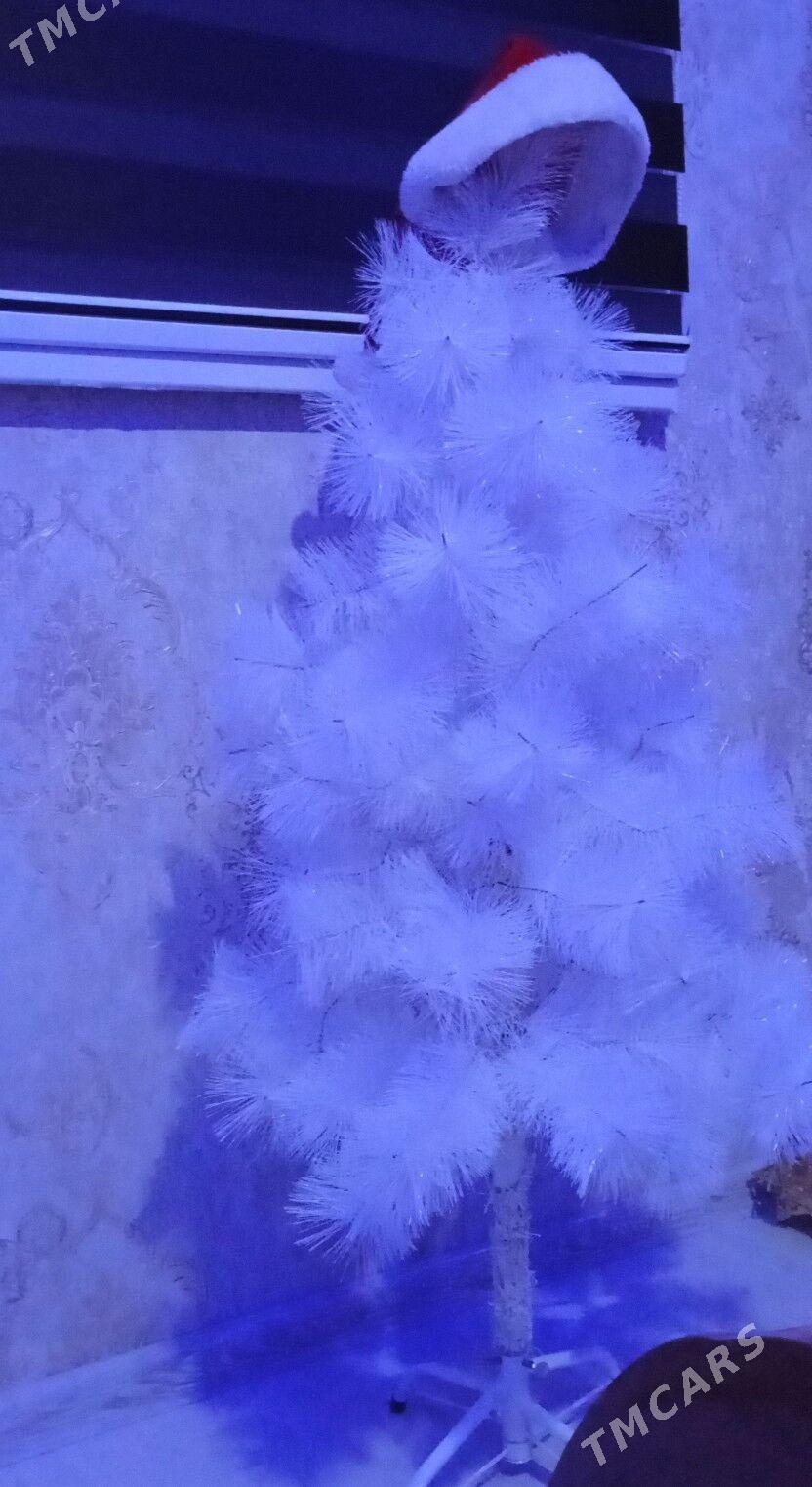 ak yolka - Берекет - img 2