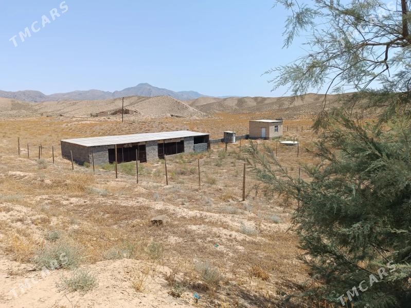 Yer jay - Махтумкули - img 5