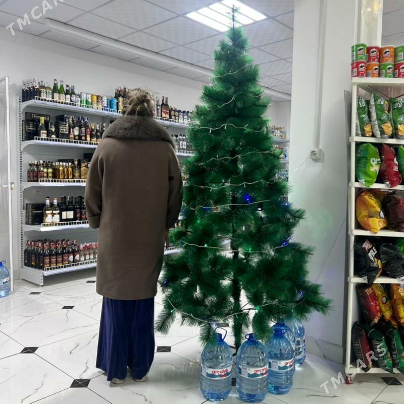 yolka - Туркменабат - img 1