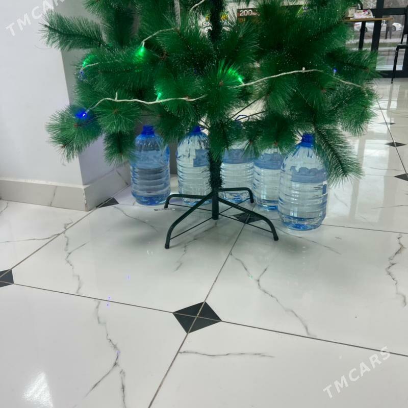 yolka - Туркменабат - img 3