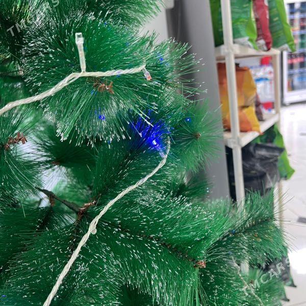 yolka - Туркменабат - img 2