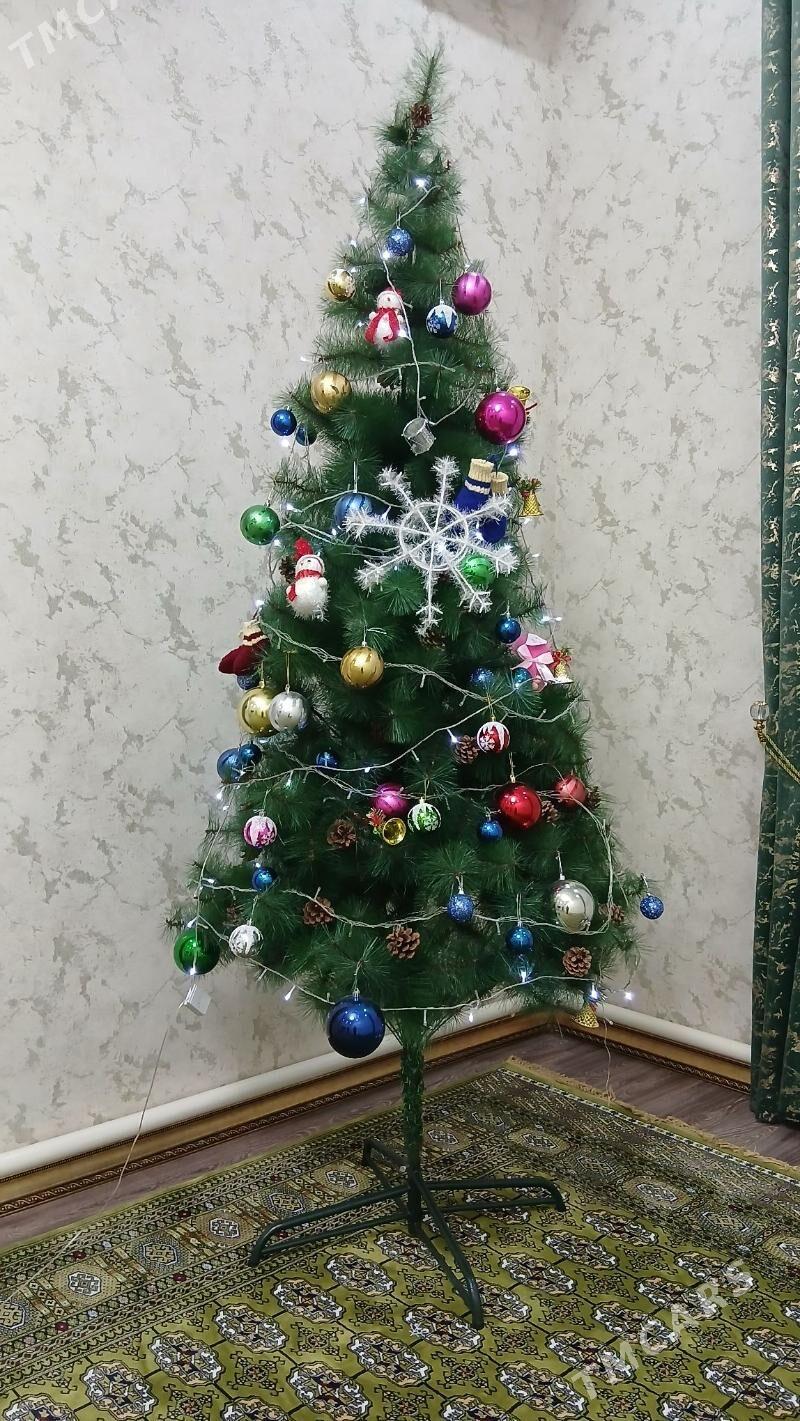 Yolka arca - Ашхабад - img 2