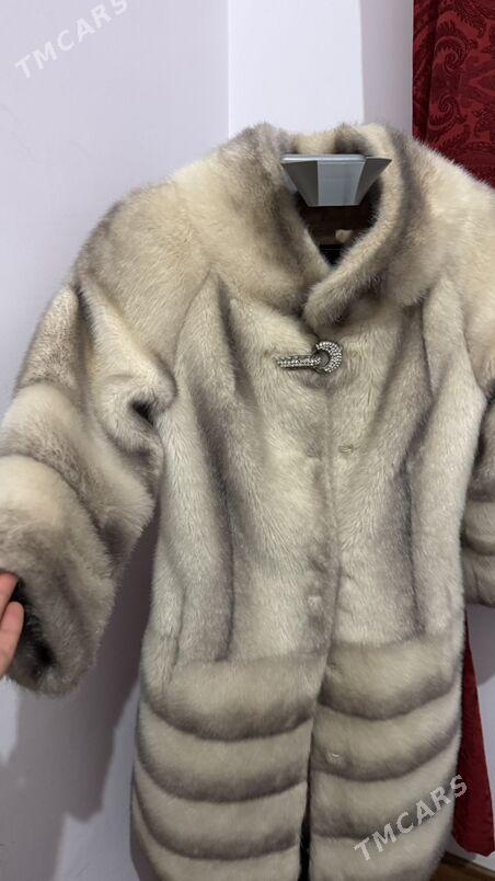 Şuba  Шуба - Ашхабад - img 2