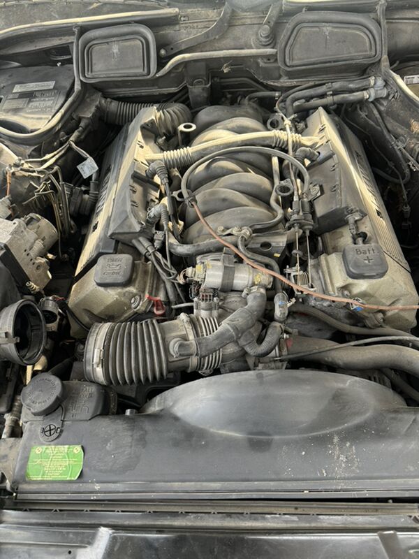 E38 740 morda 5 000 TMT - Гумдаг - img 3