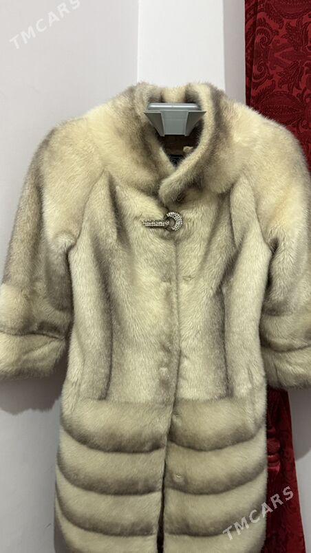 Şuba  Шуба - Ашхабад - img 3