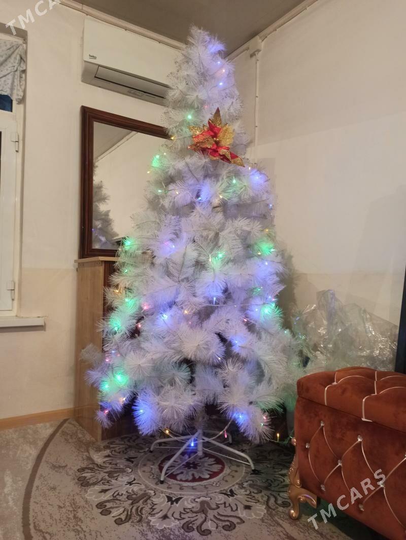 Ýolka - Büzmeýin - img 2