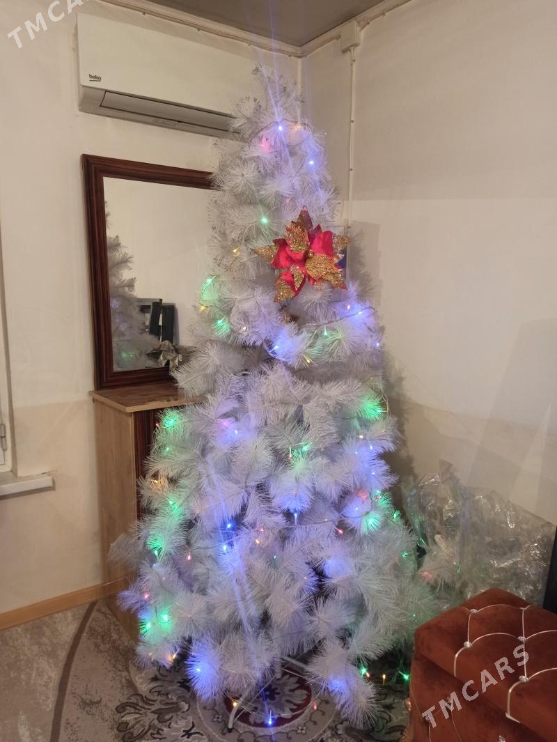 Ýolka - Büzmeýin - img 3