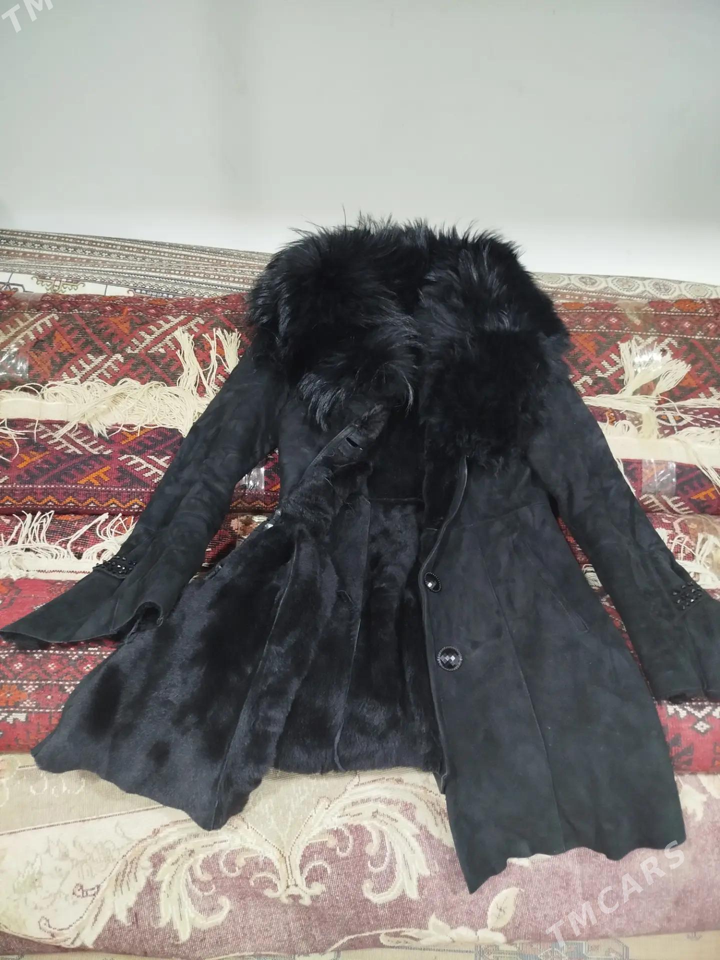 paltolar - Daşoguz - img 3