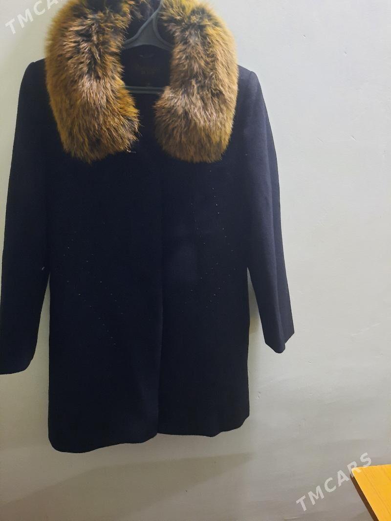 Palto - Daşoguz - img 1