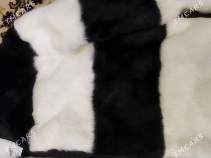 Shuba jenskiy - Ашхабад - img 2