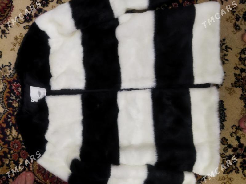 Shuba jenskiy - Ашхабад - img 1